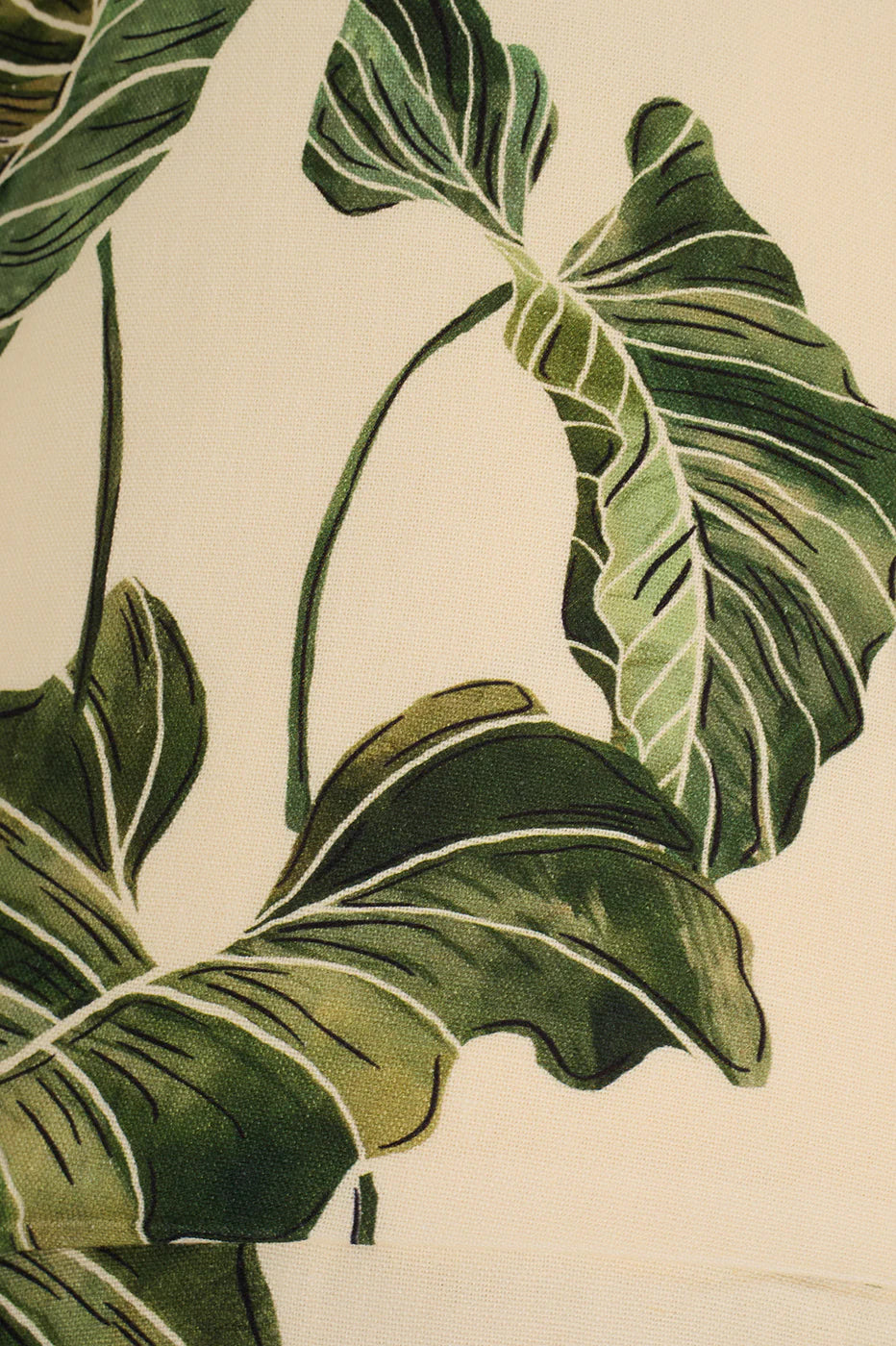 Close-up of green leaves with a beige background